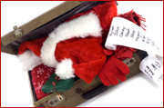 Tips for Holiday Travel