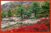 National Park