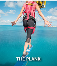 The Plank